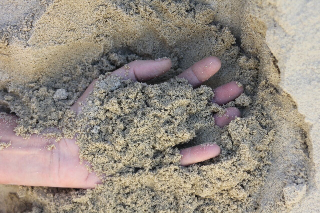 Masonry Sand #1