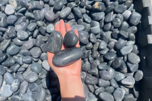 Black Polished Pebble 1" x 2"