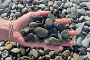 Black Beach Button Pebbles